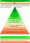 medium_pyramide_des_besoins.4.gif